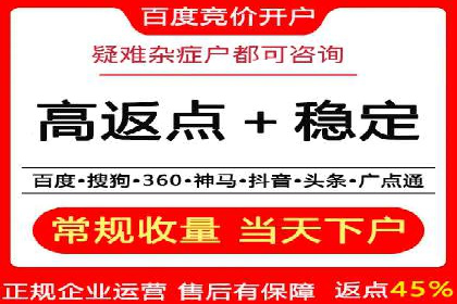 竞价广告策略案例分析